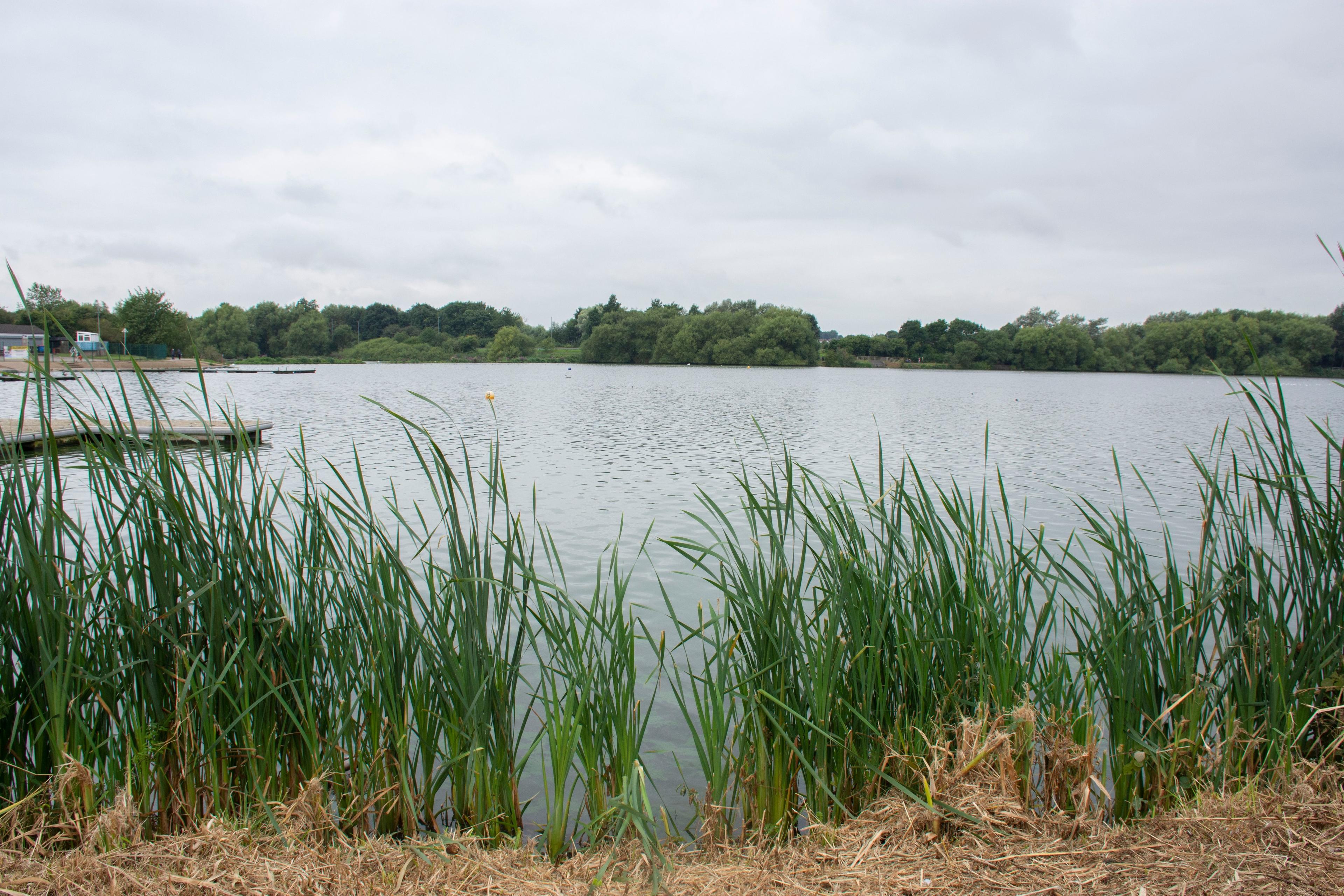 The History of Mill Waters